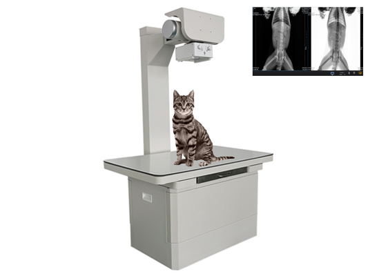 小动物专用宠物X光机
