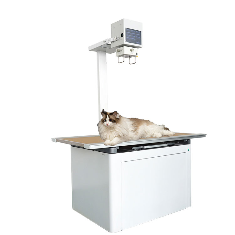 兽用诊断X射线机，兽用X光机，宠物X光机，宠物拍片机