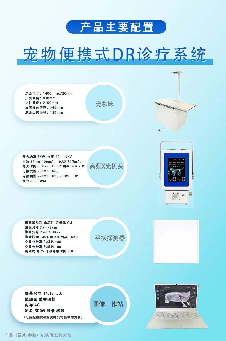 宠物DR